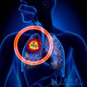 ���ȶ����ڷ��۰����ߵ���Ч���ڱ����鵥��