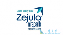 ��������(ZEJULA)����PD-1���Ƽ��Բ����������ѳ�����������Ч��