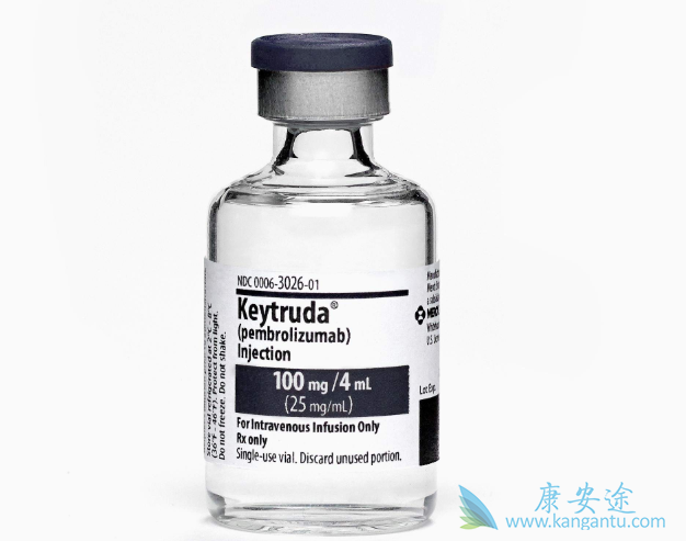 免疫检查点抑制剂 免疫检查点抑制剂