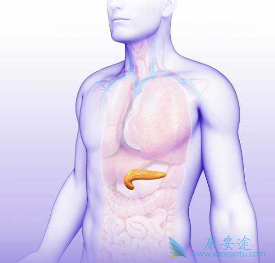 吉西他滨 吉西他滨