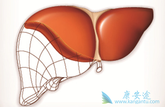 丙肝的治疗 丙肝的治疗