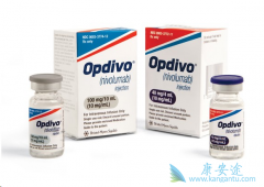 PD-1���Ƽ�ŷ���ֿ����������������ٰ���