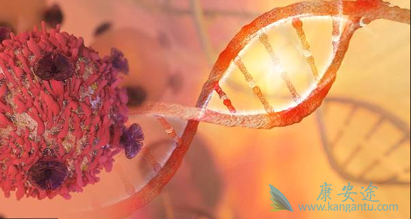 肾上腺皮质癌 肾上腺皮质癌