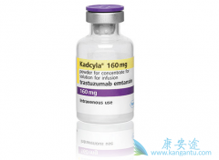 ���ٰ�ʹ�������鵥�����ƺ󻹿�����T-DM1������