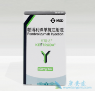 PD-1���Ƽ�������������Merkelϸ��������