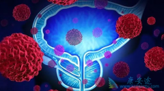 ������Щ��������Ⱥ�����׻���ǰ���ٰ���