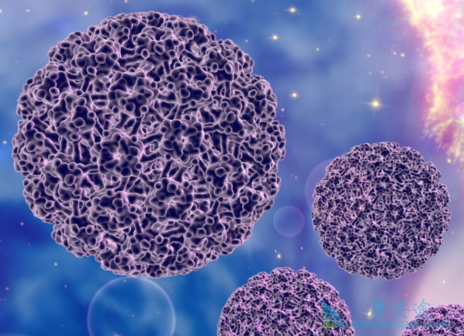 癌症病人吃什么 癌症病人吃什么