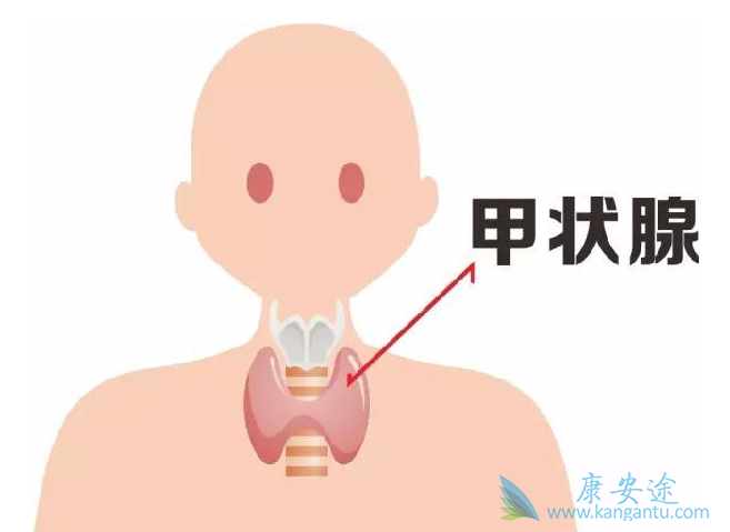 癌症的治疗 癌症的治疗