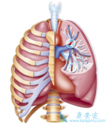 ���Ĳ���������ζ�����ѹ�������ٵ�����