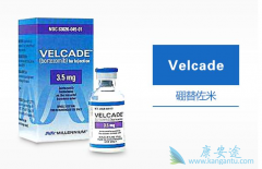 ��������/����������ҩ������Ч���������ڵ�ҩӦ��