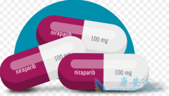 ��������(Zejula)������ķ������HRD���Ի��߾��нϺ�������