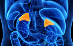 �����������������Ѿ��������������Ͱ���ҩ����ѡ��