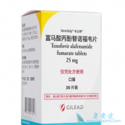 ��ŵ��Τ�����Ӱ�(TAF)���·������ۺ���