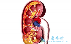 ��������ҩ���ʹ�������ڻ��߻������Ԥ��