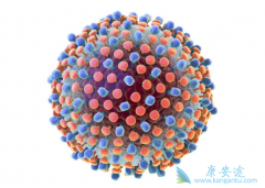 ��Щ��Ⱥ����������Ա��β�����Ⱦ�������