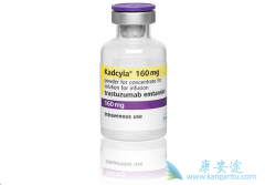 T-DM1�����������ٰ����ߵ���Ч�������鵥������