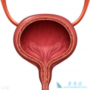 ���װ��ķ��ڶ�����Щ����ͬ����֢״�кβ�ͬ��