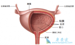 ���װ�����ΪʲôҪ���ڸ��飿��ø���һ�αȽϺã�