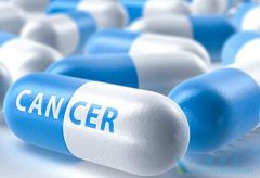 �ڷ�������ҩ������л������Щ������Ӧ��