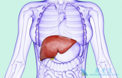 ���˲����Ա����ܻ��ã���������������Ӱ����