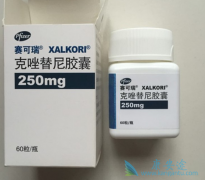 ���ܿ�������/�����������ڼ��붨�ڽ������ʼ��