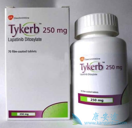 拉帕替尼 拉帕替尼