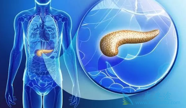 胰腺癌晚期能活多久 胰腺癌晚期能活多久