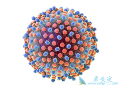 ���͸����Ƿ��б����������Ԥ����