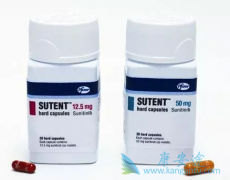 ��ϸ�����г�����������������������ȫ��������