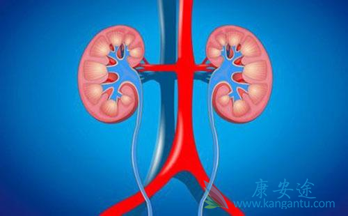 肾癌转移 肾癌转移