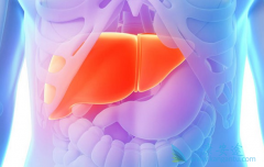 �������Ҹθ�Ů��Ҫ���������ƿɻ�����ŵ��Τ(TDF)