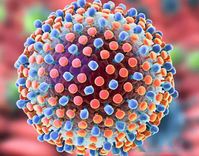 丙型肝炎病毒的危害还有伤害中枢神经系统