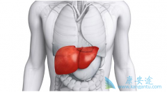 �Ҹ����԰���͸ι��ܼ����ʲô����