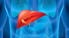 �Ҹβ���Я���߿��Ա���Ϊ�ļ������ͣ�