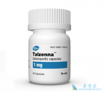 �����������������������������Щ���͵����ٰ����ߣ�