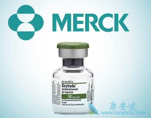 免疫治疗 免疫治疗