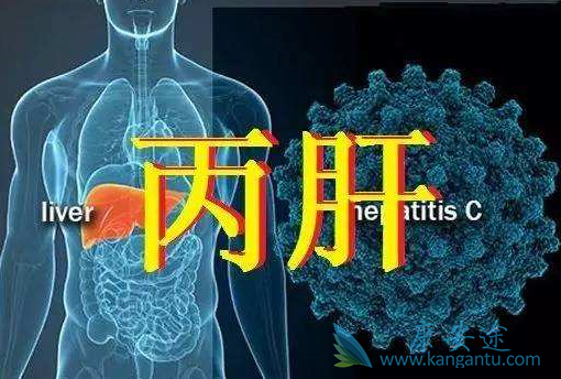 丙肝抗体 丙肝抗体