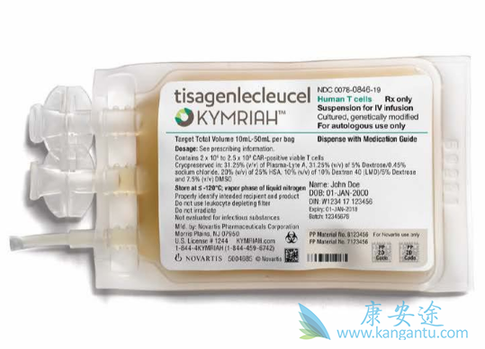CAR-T疗法 CAR-T疗法