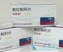 PARP���Ƽ�Ŀǰ�Ѿ���Ϊ�ѳ������Ƶ���ѡ����ҩ��