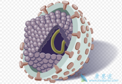 ��췢�ֱ��ο���������Ҫ���ܿ�����������