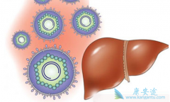 ���������DAA�Ʒ����ֺ󼫴���˱��͸��׵����ƹ���