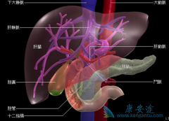 ��ϸ���������ж���ͬ��Ҳ�������Ҹλ��ߣ�