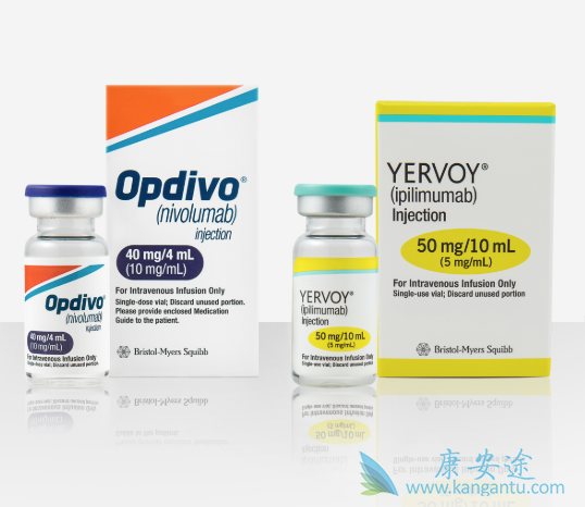 纳武单抗 纳武单抗