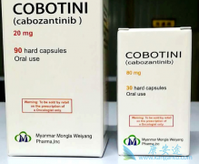 ����������������ڸΰ����߶������Ƶ���������