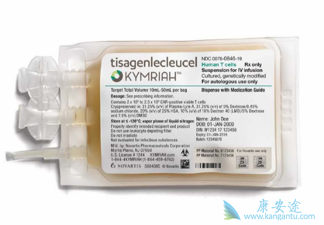 CAR-T细胞 CAR-T细胞
