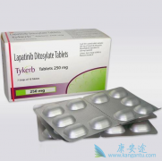 LAPATINIB���Ϸ�ά˾Ⱥ�����ܸ��ƽ�չ�����ٰ����ߵ���������