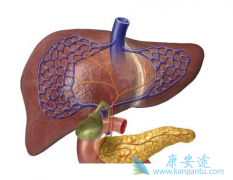 ���ο������Ծʹ������ϱ������𣿱��ο������Ի᲻�ᴫȾ��