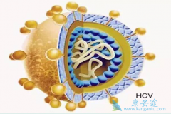 ���β�������ε��¸�ϸ����������ģ�