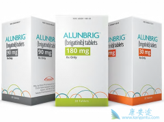 ��������/����������Բ�����������