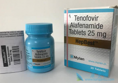 ��ŵ��Τ����(TAF)�����������������Ҹλ������ư��̲�